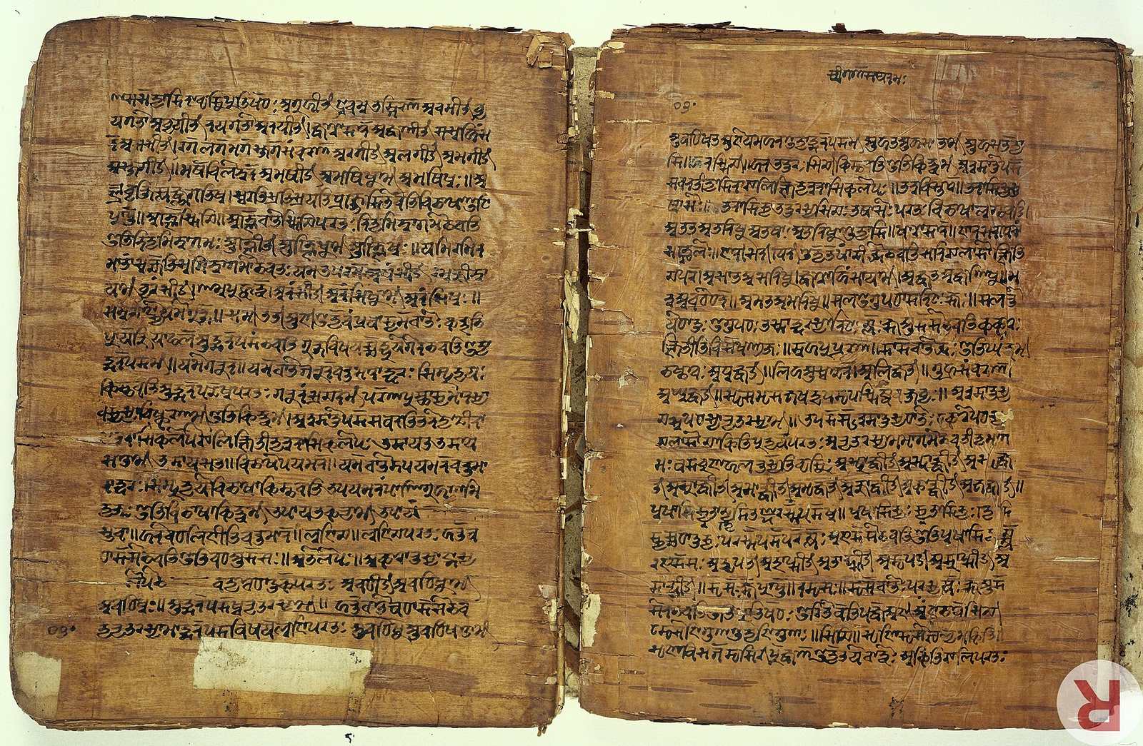 Two open birch-bark leaves covered in small handwritten script