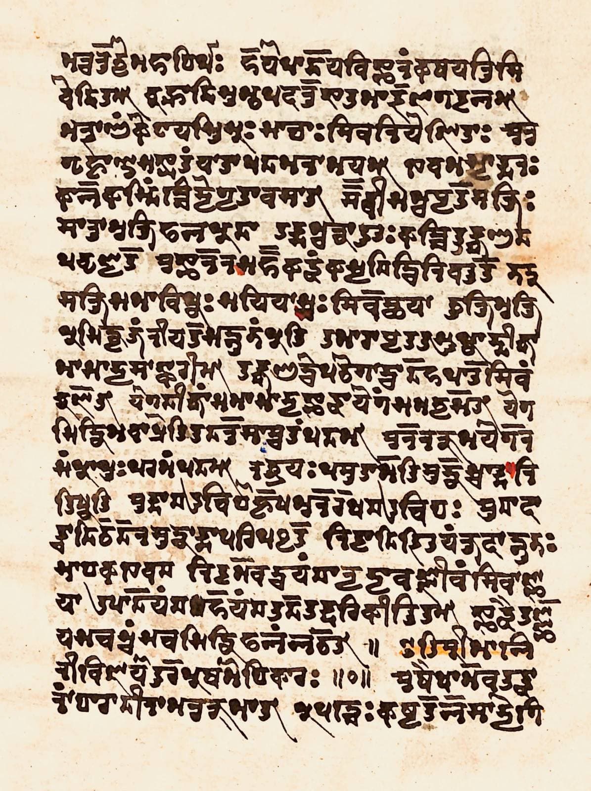 A page of a Sanskrit manuscript written in brown ink in Sharada script